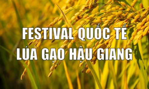 Festival quốc tế ngành hàng lúa gạo Việt Nam - Hậu Giang 2023 diễn ra từ ngày 11-12-2023
